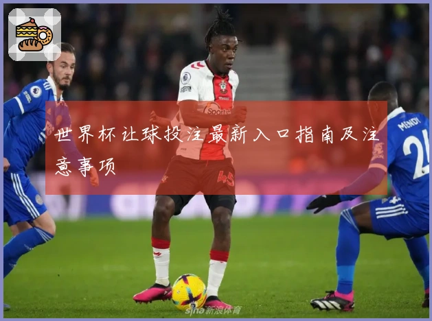 世界杯让球投注最新入口指南及注意事项