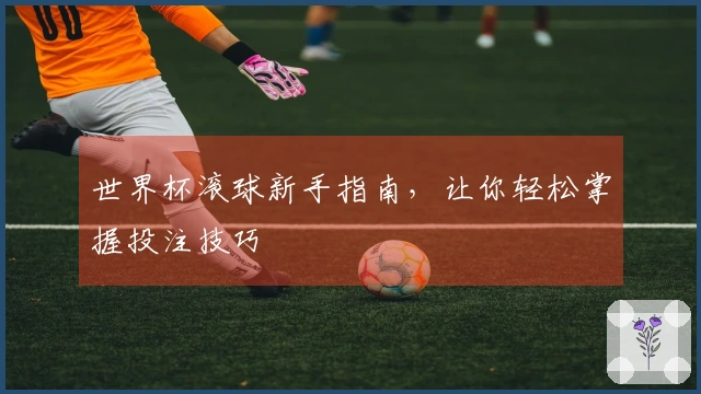 世界杯滚球新手指南，让你轻松掌握投注技巧