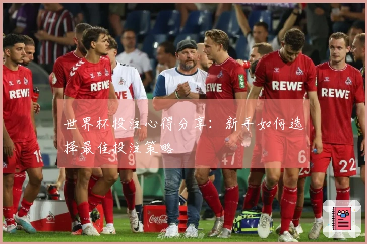 世界杯投注心得分享：新手如何选择最佳投注策略