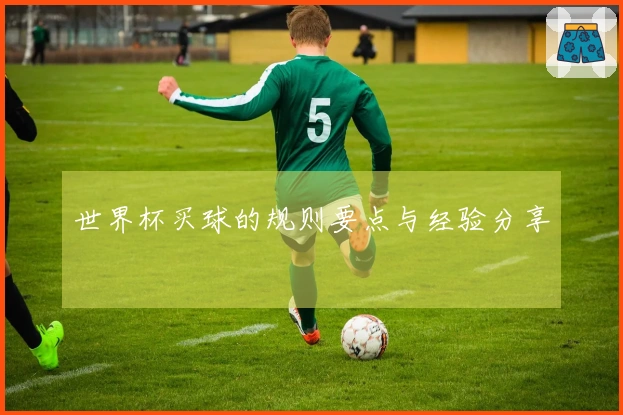 世界杯买球的规则要点与经验分享