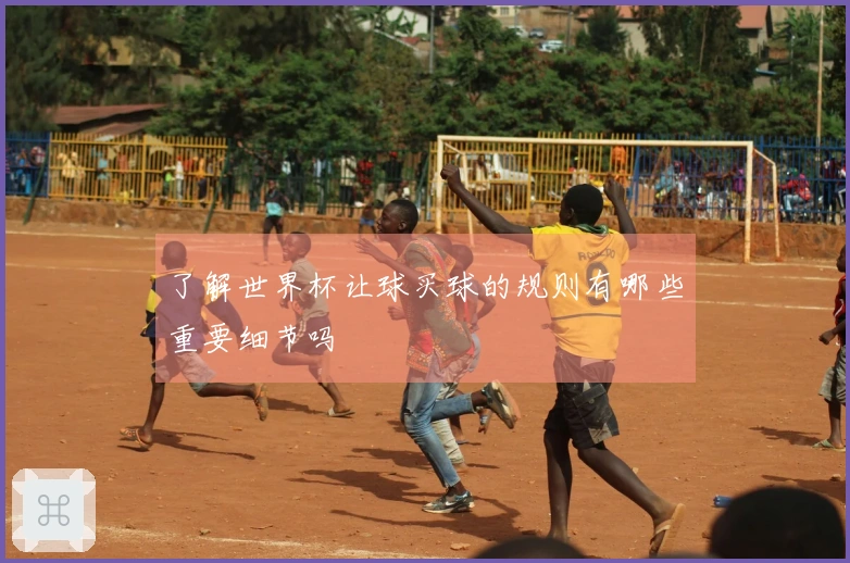 了解世界杯让球买球的规则有哪些重要细节吗