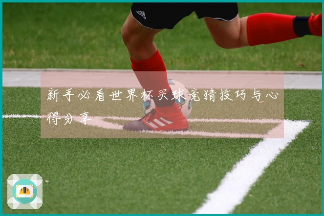 新手必看世界杯买球竞猜技巧与心得分享