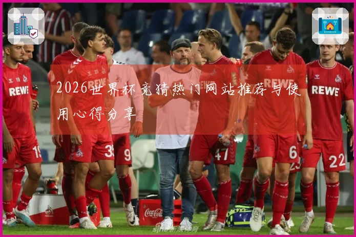 2026世界杯竞猜热门网站推荐与使用心得分享