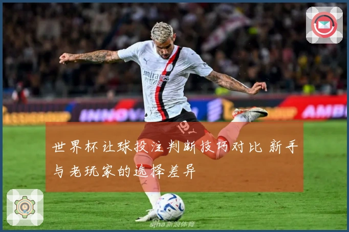 世界杯让球投注判断技巧对比 新手与老玩家的选择差异