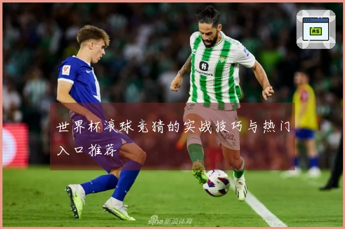世界杯滚球竞猜的实战技巧与热门入口推荐