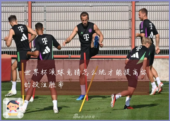 世界杯滚球竞猜怎么玩才能提高你的投注胜率