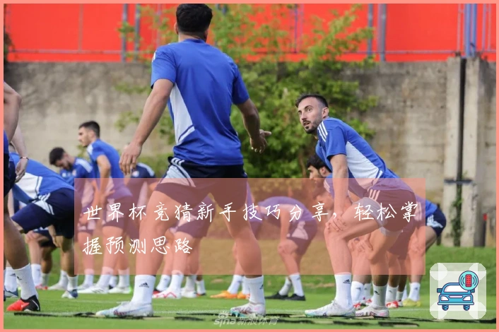 世界杯竞猜新手技巧分享，轻松掌握预测思路