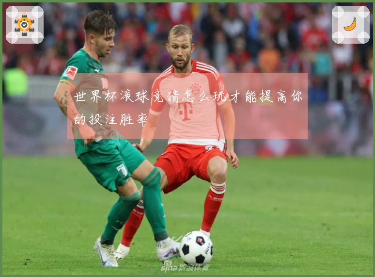 世界杯滚球竞猜怎么玩才能提高你的投注胜率
