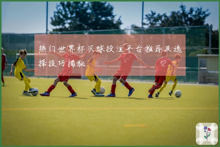 热门世界杯买球投注平台推荐及选择技巧揭秘