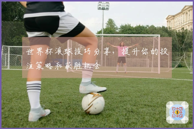 世界杯滚球技巧分享，提升你的投注策略和获胜机会