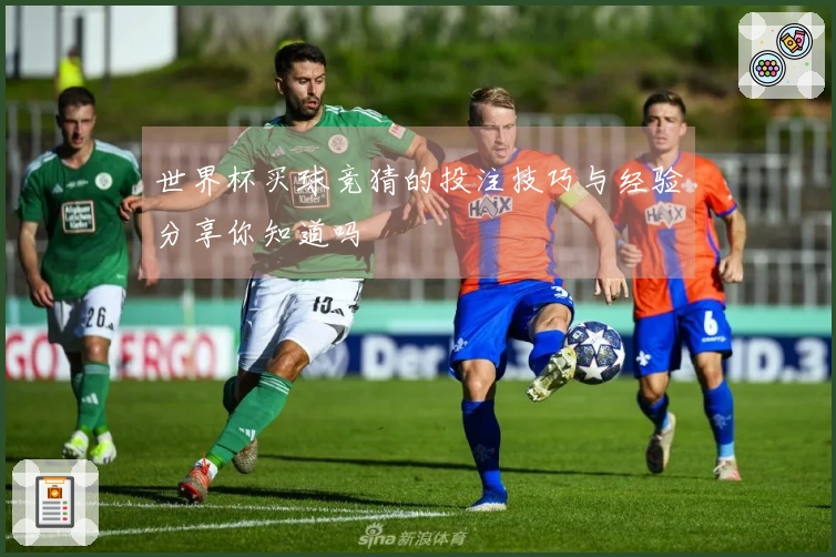 世界杯买球竞猜的投注技巧与经验分享你知道吗