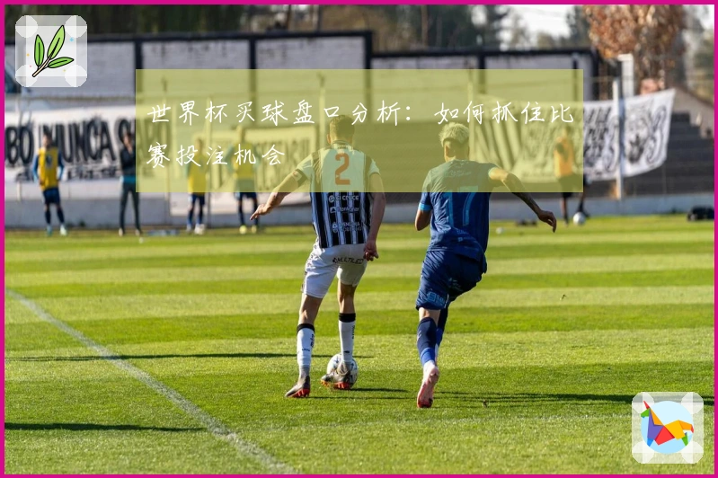世界杯买球盘口分析：如何抓住比赛投注机会
