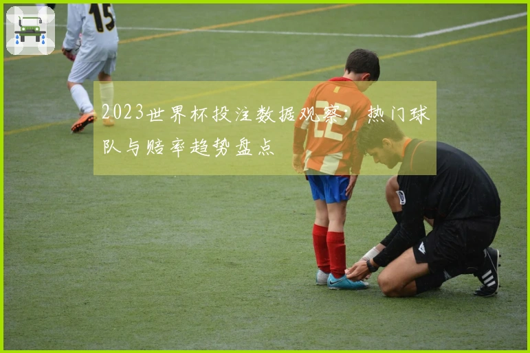 2023世界杯投注数据观察：热门球队与赔率趋势盘点