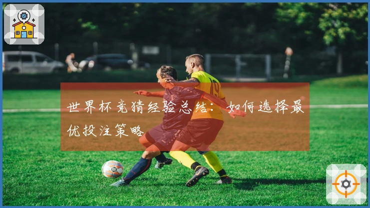 世界杯竞猜经验总结：如何选择最优投注策略