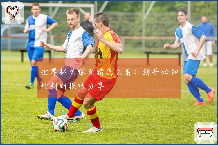 世界杯买球竞猜怎么看？新手必知的判断技巧分享