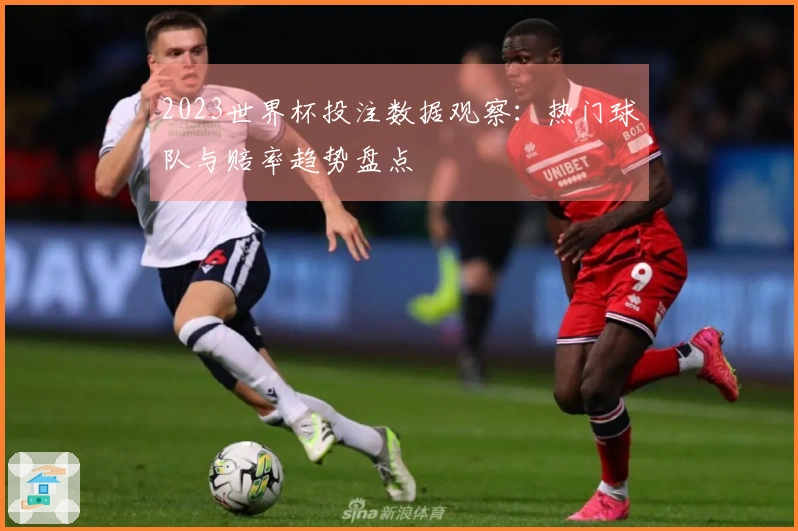 2023世界杯投注数据观察：热门球队与赔率趋势盘点