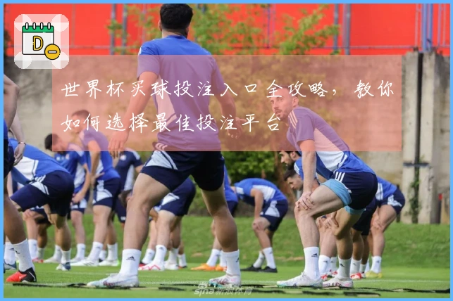 世界杯买球投注入口全攻略，教你如何选择最佳投注平台
