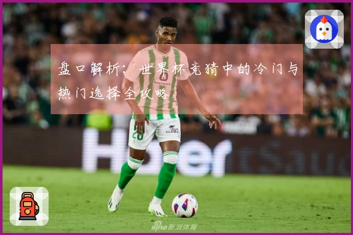 盘口解析：世界杯竞猜中的冷门与热门选择全攻略