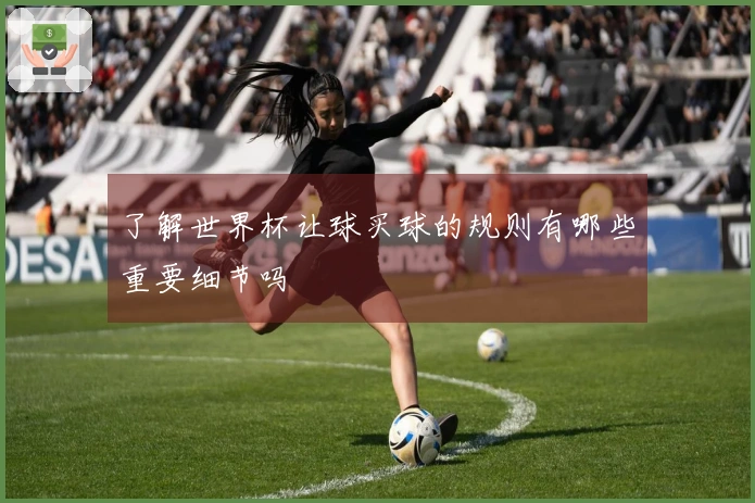 了解世界杯让球买球的规则有哪些重要细节吗
