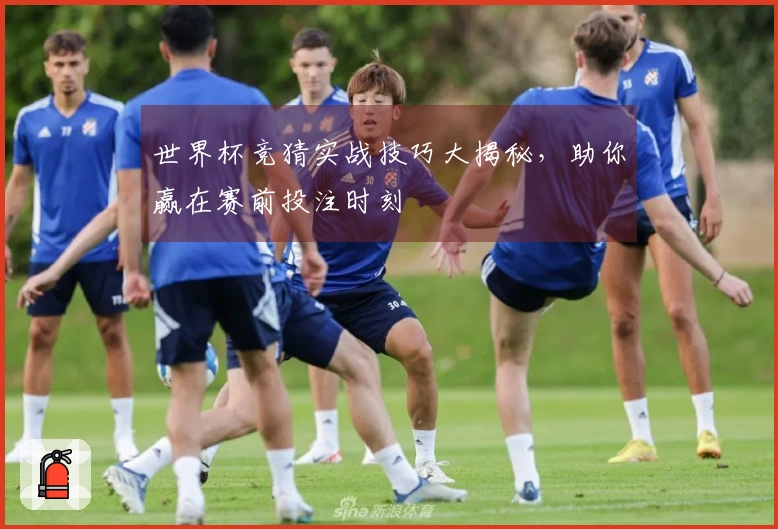 世界杯竞猜实战技巧大揭秘，助你赢在赛前投注时刻