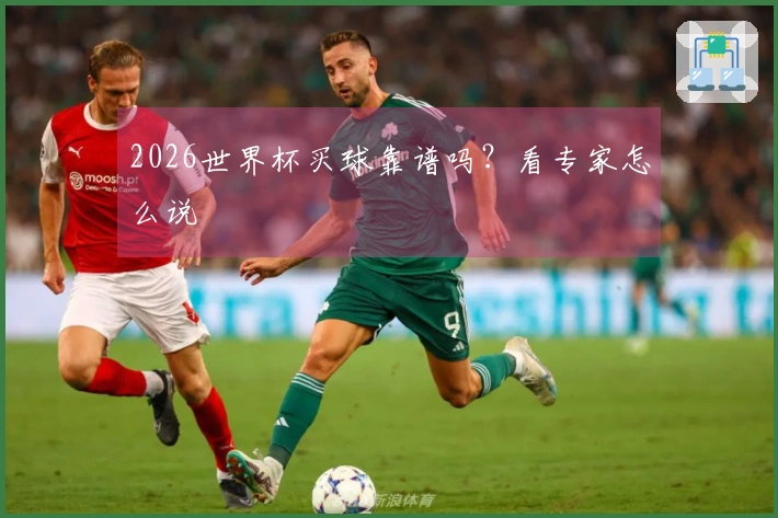 2026世界杯买球靠谱吗？看专家怎么说
