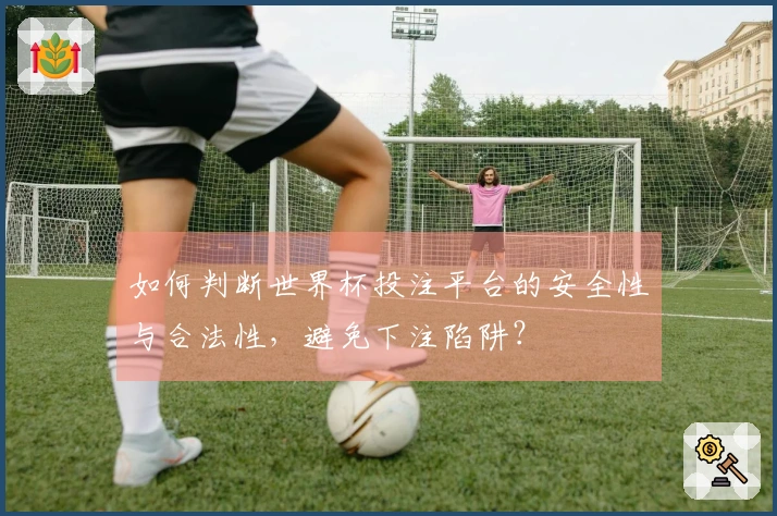 如何判断世界杯投注平台的安全性与合法性，避免下注陷阱？