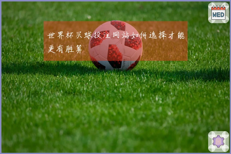 世界杯买球投注网站如何选择才能更有胜算