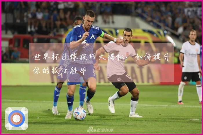 世界杯让球技巧大揭秘，如何提升你的投注胜率