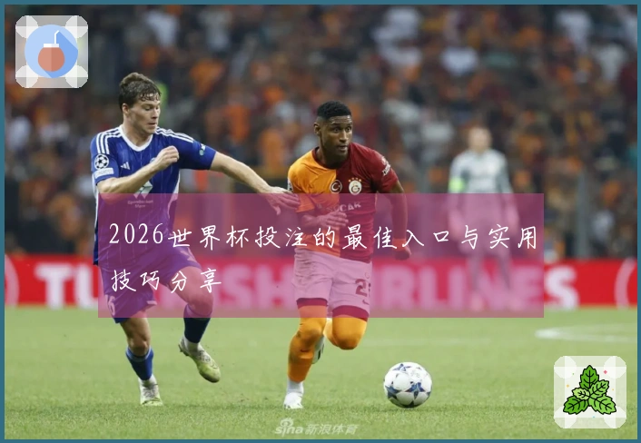 2026世界杯投注的最佳入口与实用技巧分享