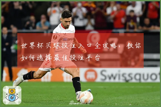 世界杯买球投注入口全攻略，教你如何选择最佳投注平台