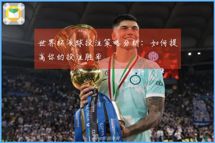 世界杯滚球投注策略分析：如何提高你的投注胜率