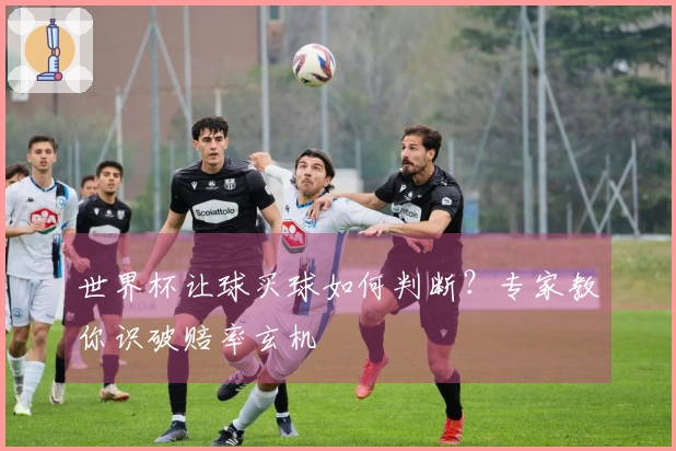 世界杯让球买球如何判断？专家教你识破赔率玄机