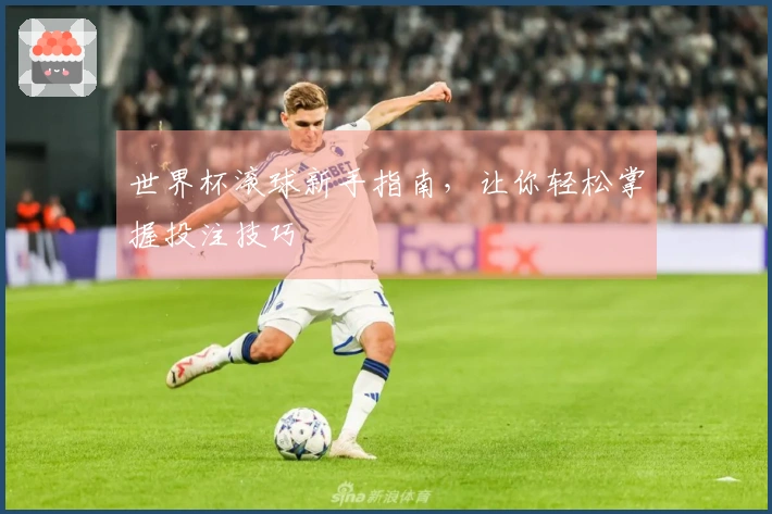 世界杯滚球新手指南，让你轻松掌握投注技巧