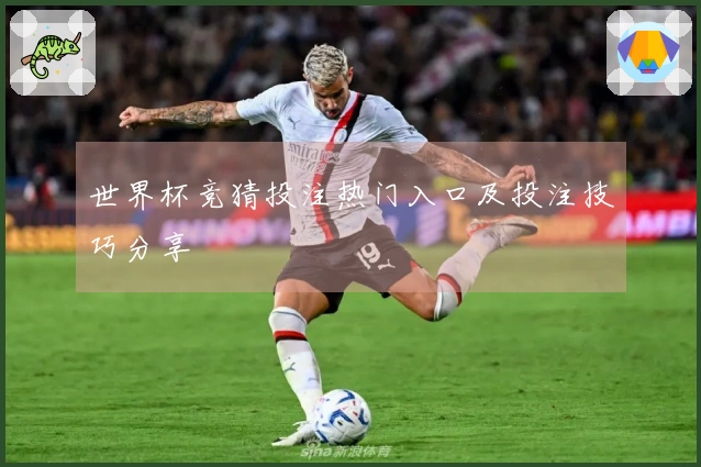 世界杯竞猜投注热门入口及投注技巧分享