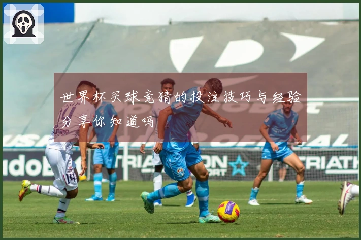 世界杯买球竞猜的投注技巧与经验分享你知道吗